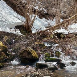 雪の残る渓流でルアーフィッシング ～長良川水系～